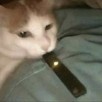 Free access to @hopexforxnothingx Leaked OnlyFans 

 profile picture