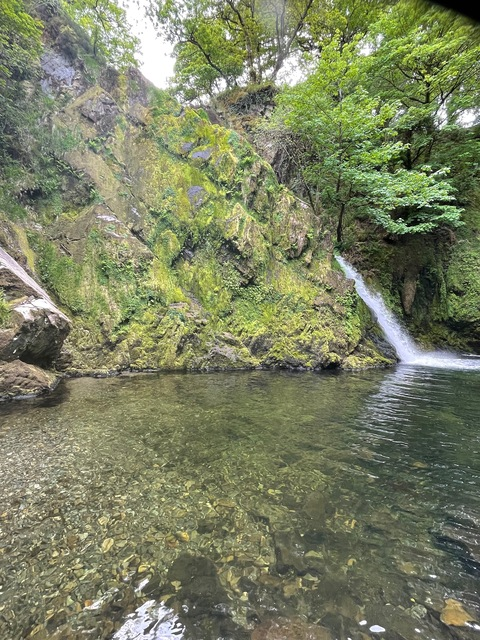 Header of hunted4fun