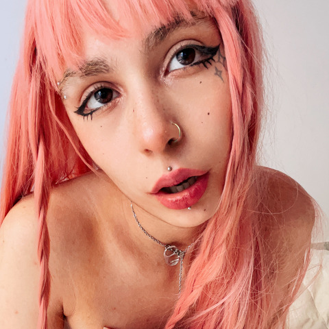 Header of iaracute19