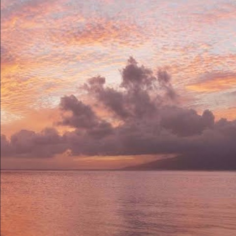 Header of idianamendez