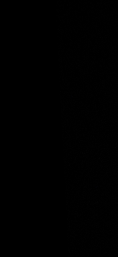 Header of imjasminejames