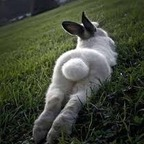 imrichbunny OnlyFans Leaked 

 profile picture