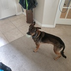 Onlyfans leaks injuringpoem 

 profile picture