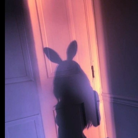 Header of isabella_torres