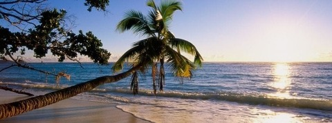 Header of itsmealexx