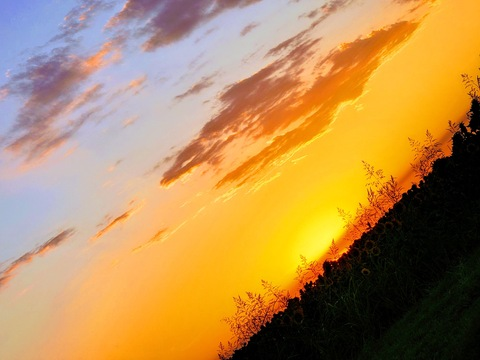 Header of itsonlyme-kee