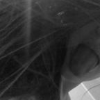 Download izabela OnlyFans leaks for free 

 profile picture