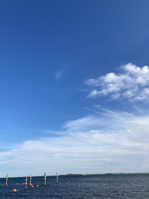 Header of jackstyles613