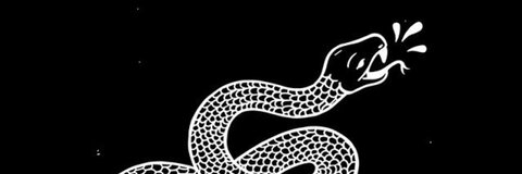 Header of jadamikaila