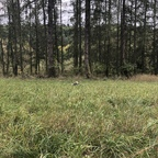 Onlyfans leak janesocks7 

 profile picture