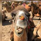 Onlyfans leaks jasoncoyle 

 profile picture