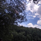 Download javesavage OnlyFans videos and photos for free 

 profile picture