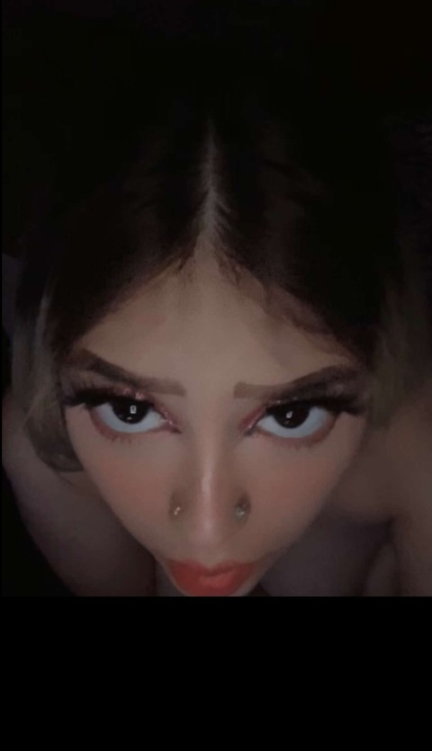 Header of jaz_daflex