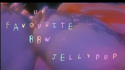 Header of jellypup