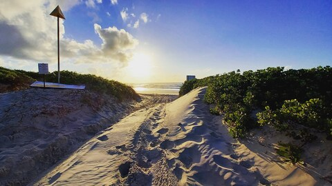 Header of jess-shankley