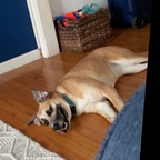 Free access to (@jesscutie77) Leak OnlyFans 

 profile picture