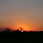 Onlyfans leak jessepowers 

 profile picture