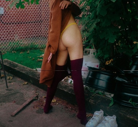 Header of jesswebner