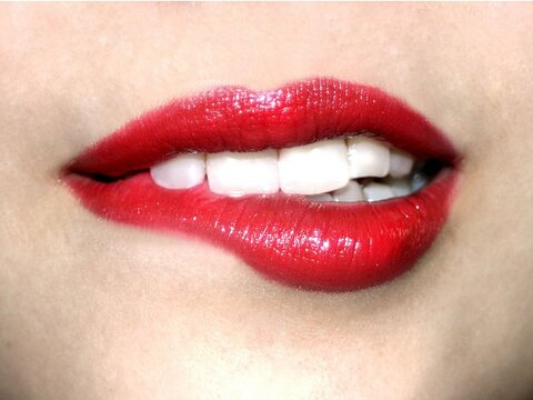 Header of jocey_joce