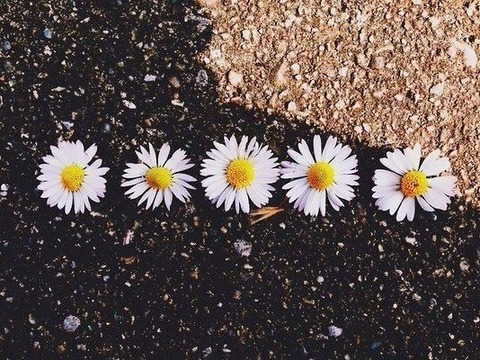 Header of johaxdz
