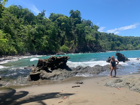 Header of jungle_monkey