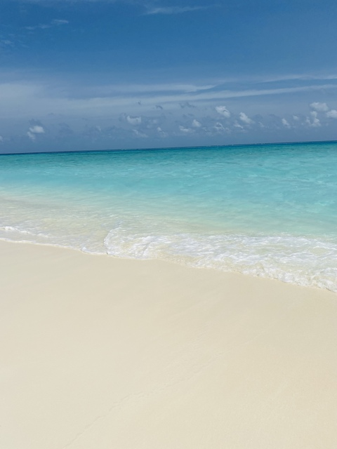 Header of junkiegoesformal