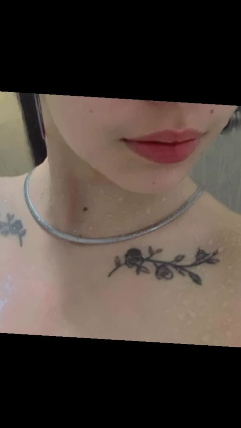 Header of karolaay_oficial