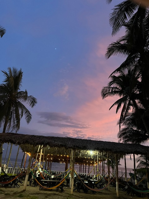 Header of katarinalorrain