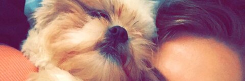 Header of kaylapooiskoo