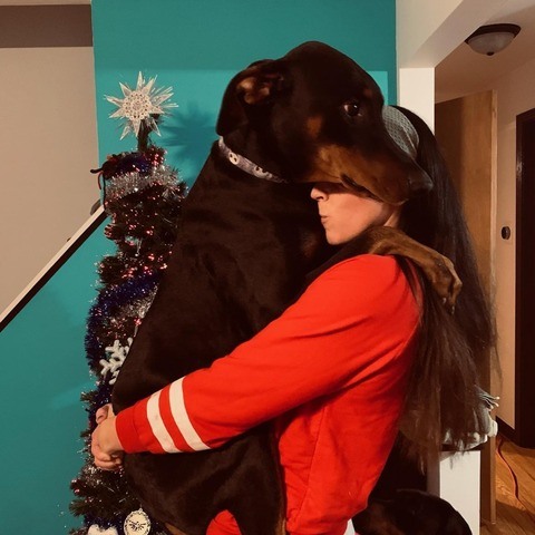 Header of keep_me_safe