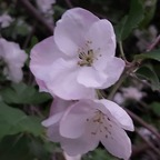 Download khaoslegion247 OnlyFans leaks for free 

 profile picture