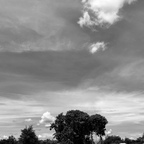 Download kimimonica OnlyFans videos and photos for free 

 profile picture