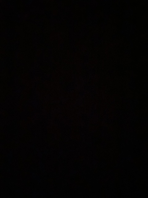 Header of kimmiebabiex