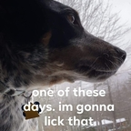 kingfetis (@kingfetis) Leak OnlyFans 

 profile picture