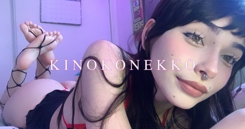 Header of kinokonekko