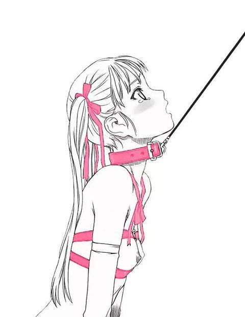 Header of kittybunny