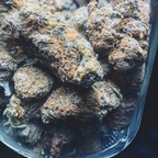 kushsmoke (DStoned) OnlyFans Leaked Pictures & Videos 

 profile picture