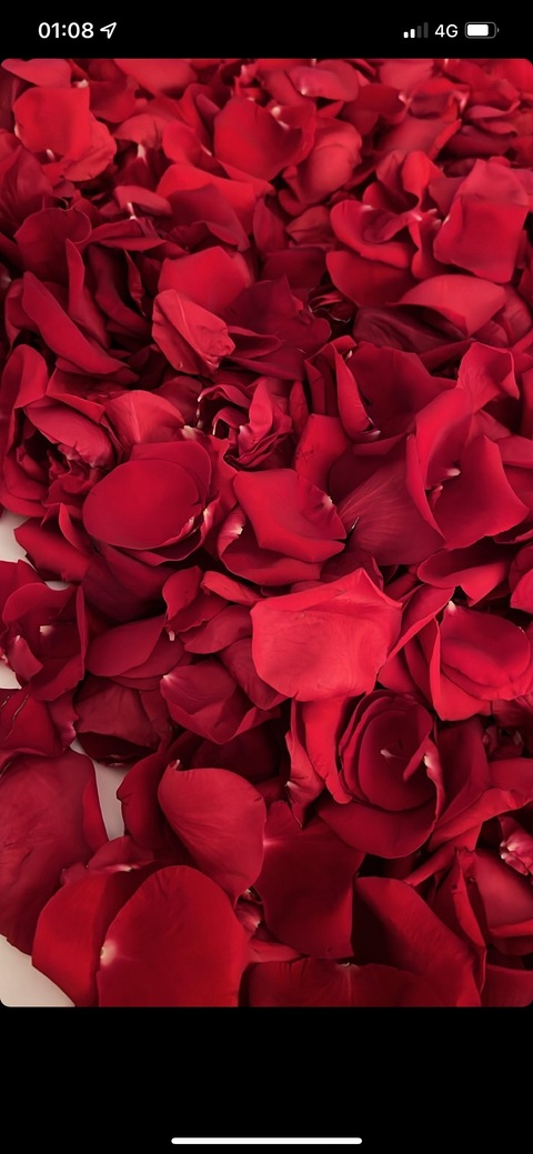 Header of ladyemiliana