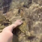 LaMimi lamimifeet Leak OnlyFans 

 profile picture