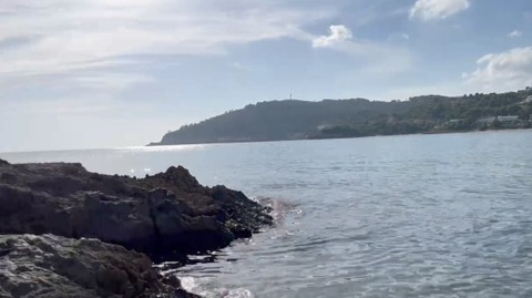 Header of lamimifeet