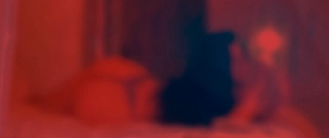 Header of lanasplayhouse