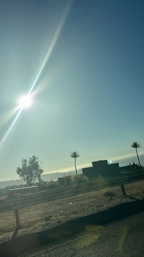 Header of larvabendita