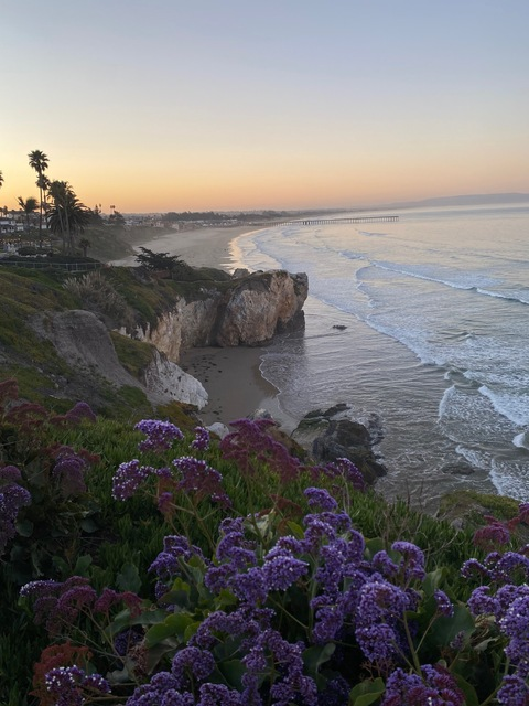 Header of latinamommyyy