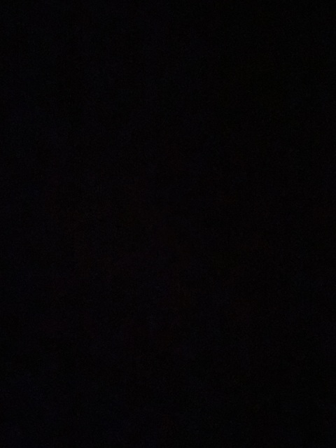 Header of lauranxwhipp