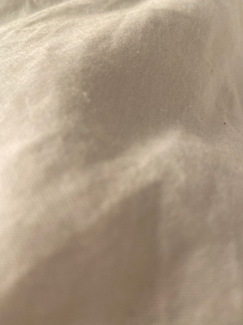 Header of laurentay19