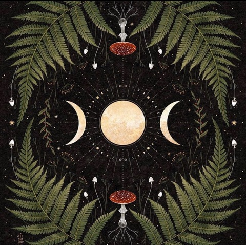 Header of lemonbalm96