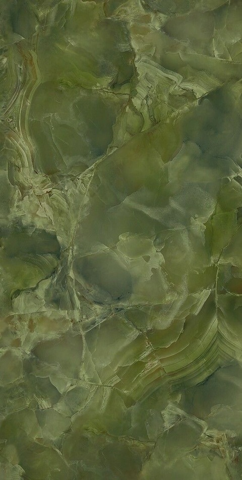 Header of lethazelnut