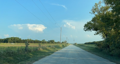 Header of letsseemolly