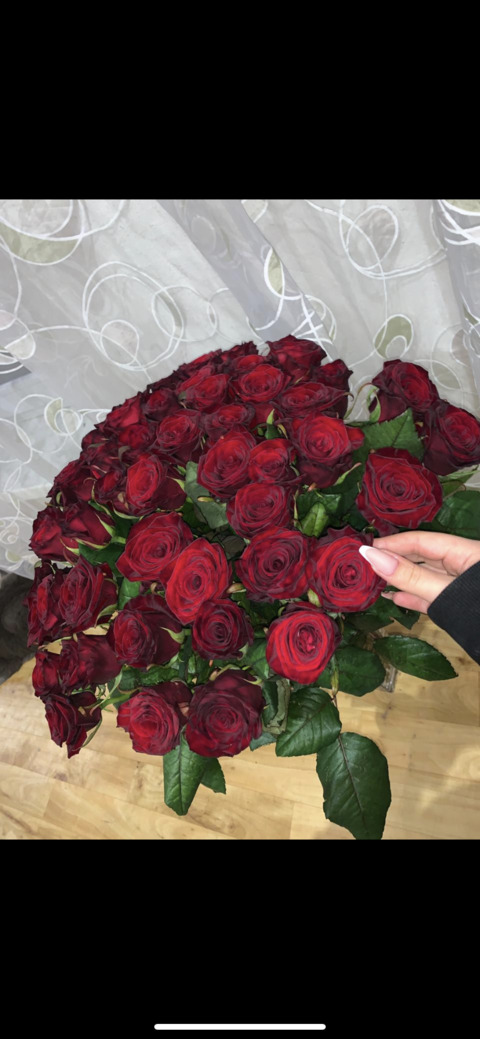 Header of lily_brilliant