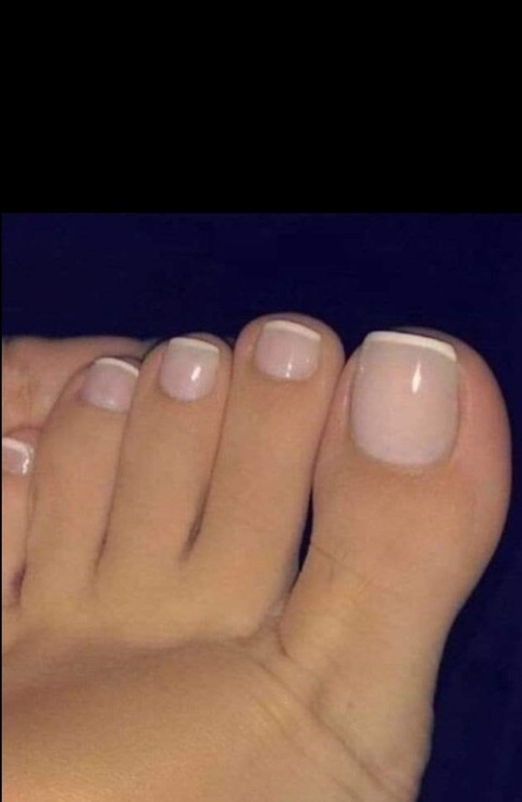 Header of lindaycali